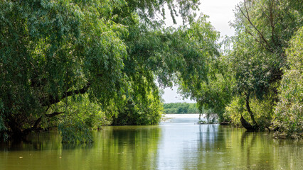 The swamps and wilderness of the Danube Delta in Romania	
