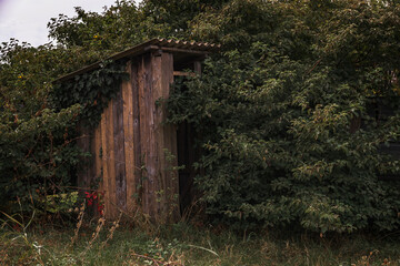Fototapeta na wymiar An old wooden toilet in the forest. Wooden toilet in the forest. An old wooden toilet in the village. A small house of an unknown architect that everyone knows.