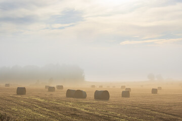 Morning light on a misty field with bales