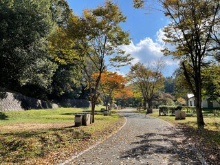 autumn in the park