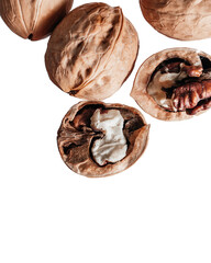 walnut in the skin on an isolated background
