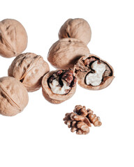 walnut in the skin on an isolated background