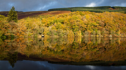 Autumn colours at Loch Ard in Scotland.