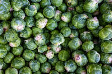 Brussel sprouts on display for sale