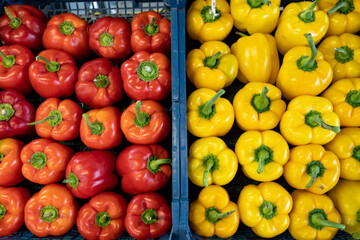 Red and yellow peppers for sale at a market