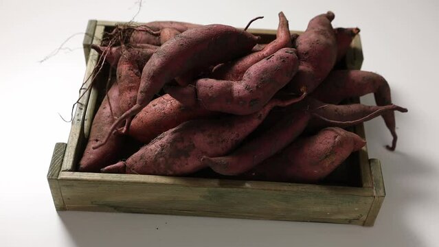 Fresh organic roots yam in crate fodo