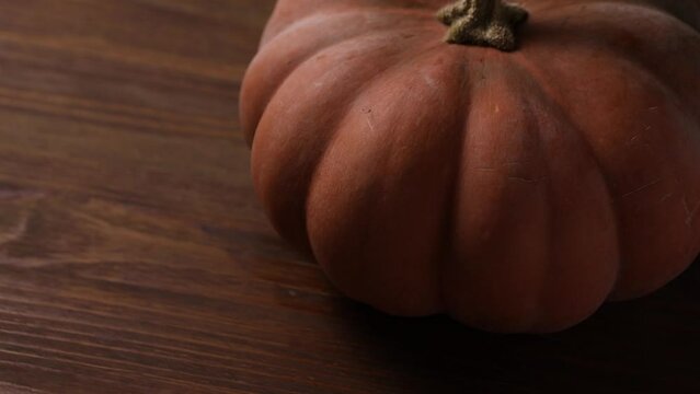 pumpkin on wooden background