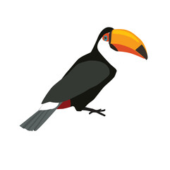 Vector tropical bird. Toucan. Brazilian bird.