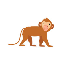 Cute cartoon monkey. African animal. Brazilian animal. The monkey jumps happily. Funny cartoon character.