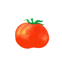 watercolor tomato, watercolor vegetable drawing
