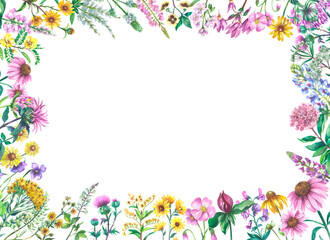 Fototapeta na wymiar Horizontal frame with wildflowers