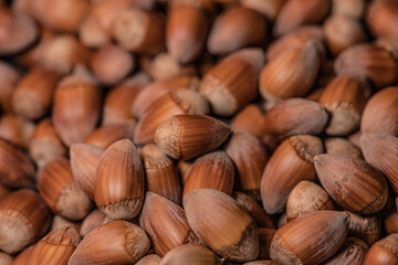 Close up on a pile of Hazelnuts with beautiful depth of field