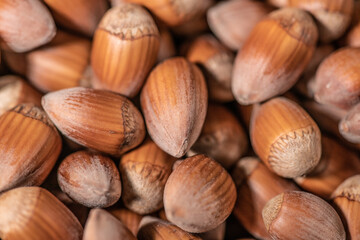 Close up on many Hazelnuts