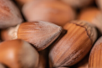 Macro zoom on hazelnuts
