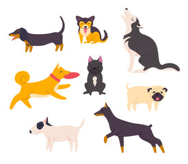 Cartoon Color Different Cute Dogs Set Flat Design Style Include of Dachshund, Bulldog and Husky. Vector illustration