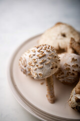 Mushrooms on a white plate