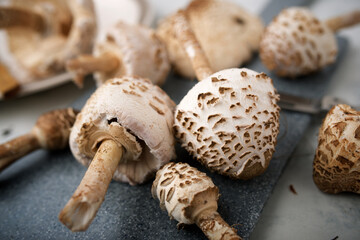 Mushrooms on a table