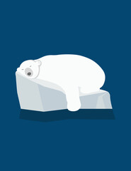 polar bear sleep on an ice