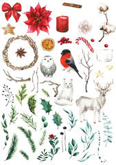 Naklejka premium Watercolor isolated candy, gingerbread, branch leaves, red berries, holly leaf, cinnamon, fir tree, bow, wreath, raindeer, white owl, bullfinch. Hand drawn PNG illustration on transparent background.