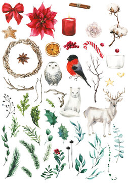 Watercolor isolated candy, gingerbread,  branch leaves, red berries, holly leaf, cinnamon, fir tree, bow, wreath, raindeer, white owl, bullfinch. Hand drawn PNG illustration on transparent background.