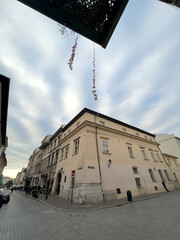 A building with a delicate climber