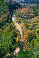 A scenic view of trees changing color and the Buffalo River in the Ozark Mountains