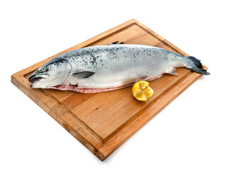 salmon in studio