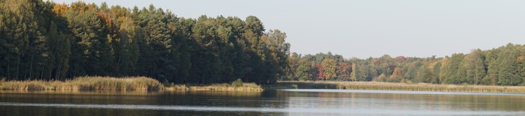Jesienny krajobraz nad jeziorem. Kolorowe drzewa w słoneczną pogodę.