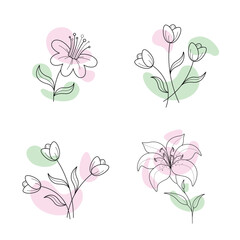 Vector set of thin line illustrations of flowers. Bouquet of tulips, one opened lily and blooming cherry blossom sakura.