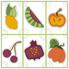 Collection of decorative abstract and doodle elements about: fruits and vegetables, apple, pomegranate, pumpkin, lemon, watermelon, cherry. Vector illustration.