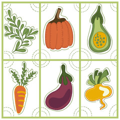 Collection of decorative abstract and doodle elements about: vegetables, parsley, pumpkin, zucchini, carrot, eggplant, turnip. Vector illustration.