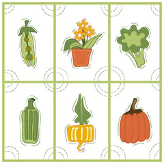 Collection of decorative abstract and doodle elements about: vegetables, peas, calendula, broccoli, zucchini, turnip, pumpkin. Vector illustration.