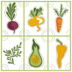 Collection of decorative abstract and doodle elements about: fruits and vegetables, beetroot, turnip, carrot, parsley, avocado, pepper. Vector illustration.
