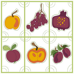 Collection of decorative abstract and doodle elements about: fruits and vegetables,apple, grape, pomegranate, mangosteen, peach, plum. Vector illustration.