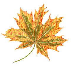 Colored autumnal leaf Maple polygons mosaic, kaleidoscope, vector illustration editable hand drawn