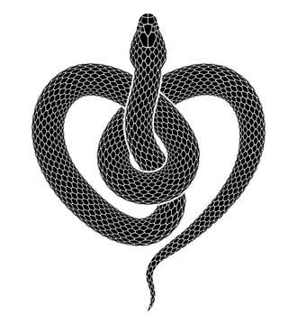 Vector tattoo design of snake curled up in the form of a heart symbol. Isolated black serpent silhouette.