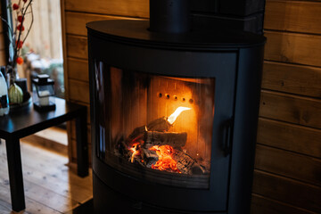 Burning wood in a modern black fireplace with a closed combustion chamber standing in the living...