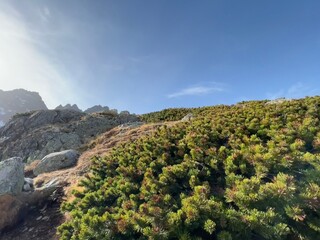 view of the mountains