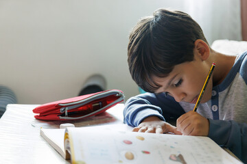 Boy doing homework at home