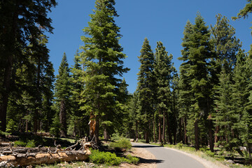 Bend in Tahoe Walking Trail - 544174520