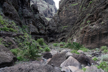 Landscape of Masca gorge. Tenerife. Canary Islands. Spain.