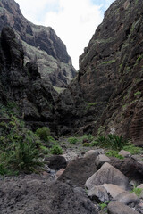 Landscape of Masca gorge. Tenerife. Canary Islands. Spain.