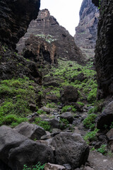Landscape of Masca gorge. Tenerife. Canary Islands. Spain.
