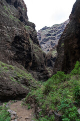 Obraz premium Landscape of Masca gorge. Tenerife. Canary Islands. Spain.