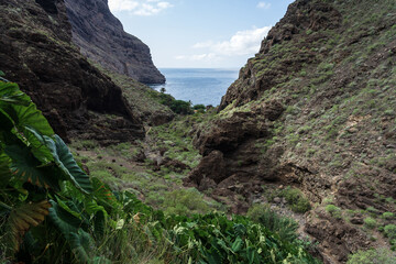 Landscape of Masca gorge. Tenerife. Canary Islands. Spain.