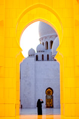 Fototapeta premium Grand Mosque in Abu Dhabi. Beautiful arab architecture. Sheikh Zayed Mosque