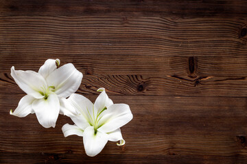 Fototapeta na wymiar Flowers heads of white lilies. Floral mock up. Mourning or funeral background