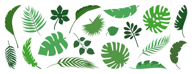 Tropical leaves set. Collection palm leaves silhouettes. Jungle exotic plants leaf. Vector illustration.