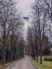 View of the Ukrainian flag from the park in the center of Kyiv Ukraine