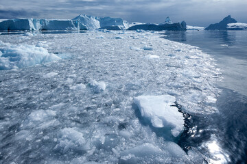 Icebergs, Disko Bay, Greenland